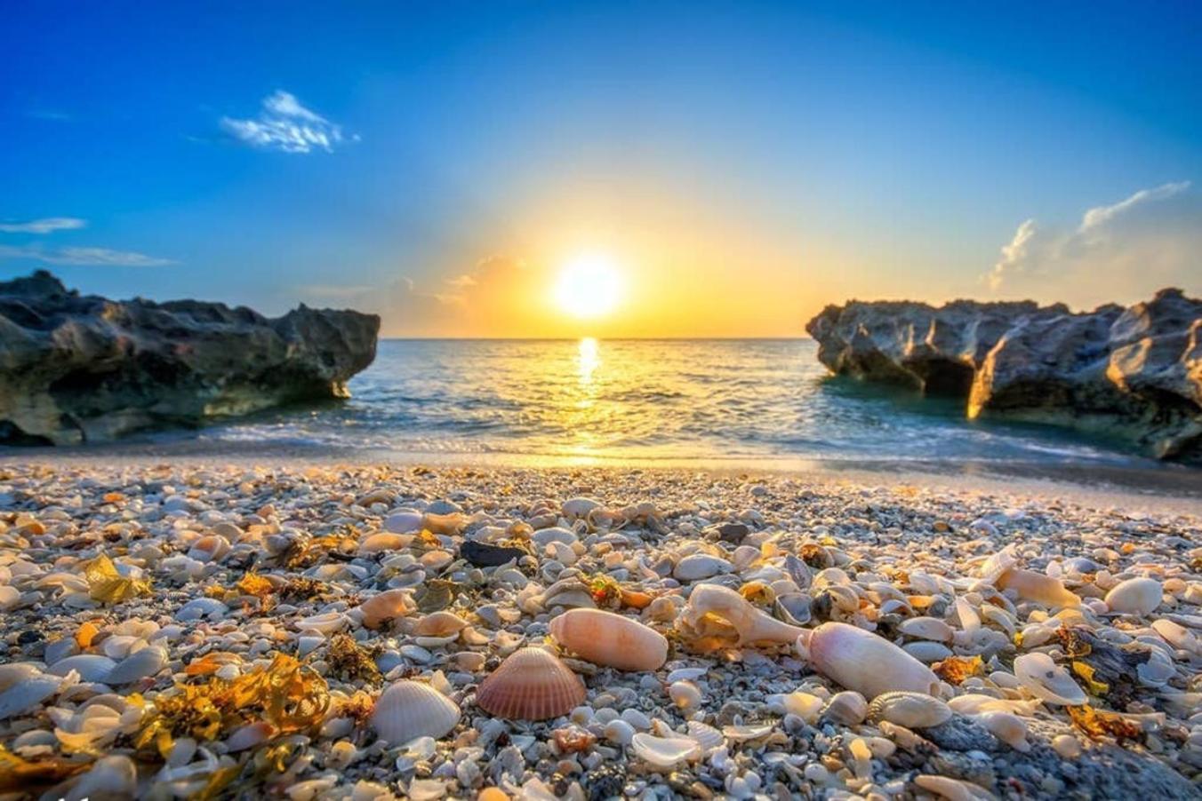 4Br Private Guest Suite Pool Pga Beaches Палм Бийч Гардънс Екстериор снимка